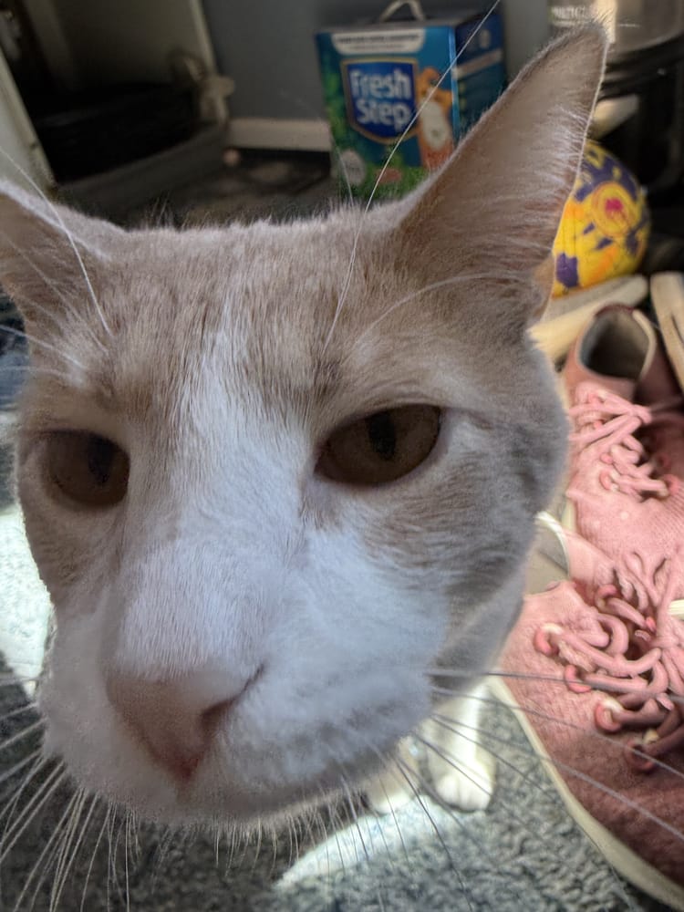 My Attention, Please